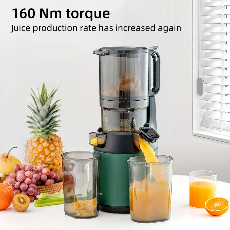 The Electric Juicer