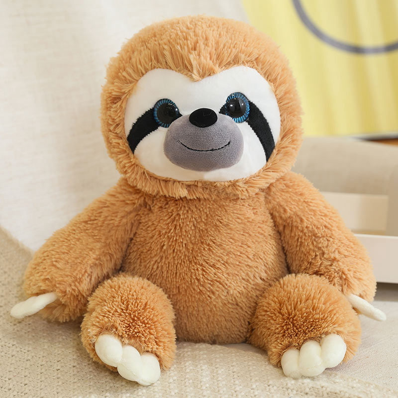 Cute sloth