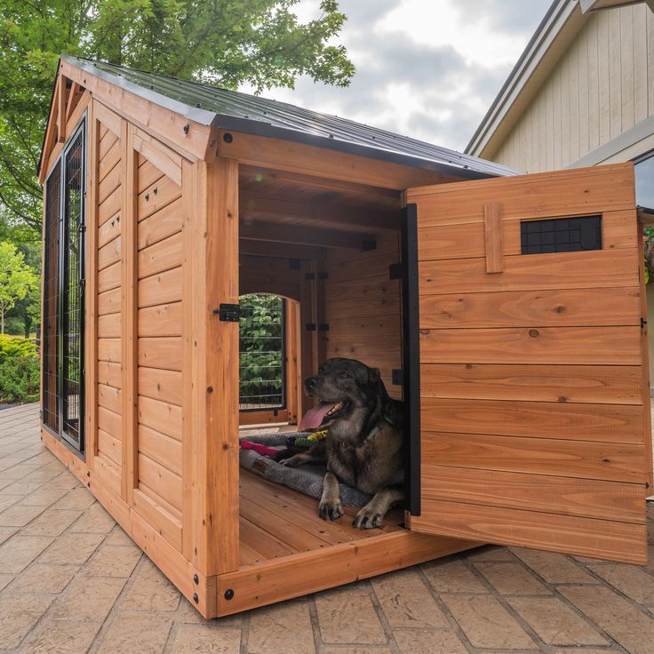 custom dog kennel