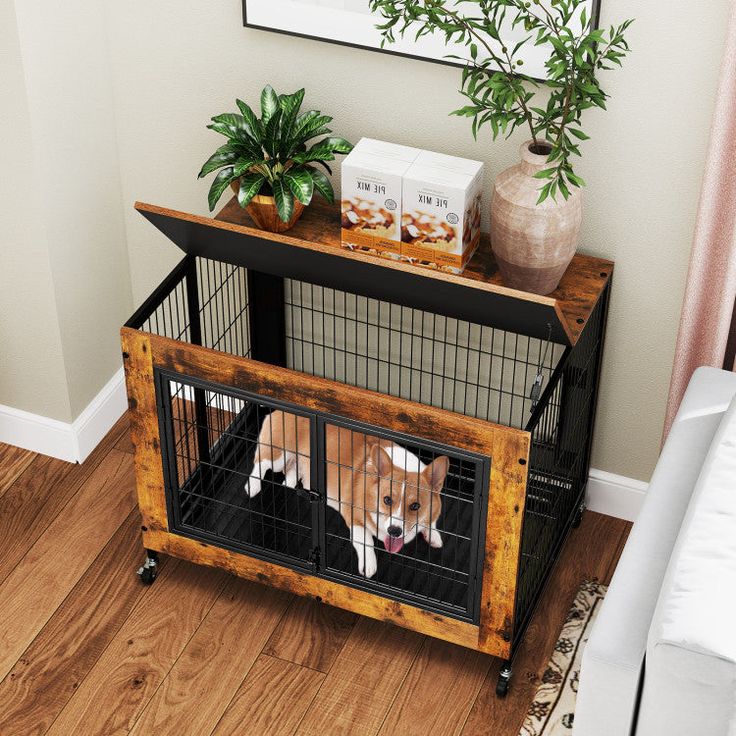 dog kennel