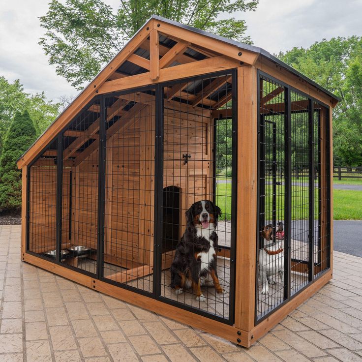 large dog outdoor kennel