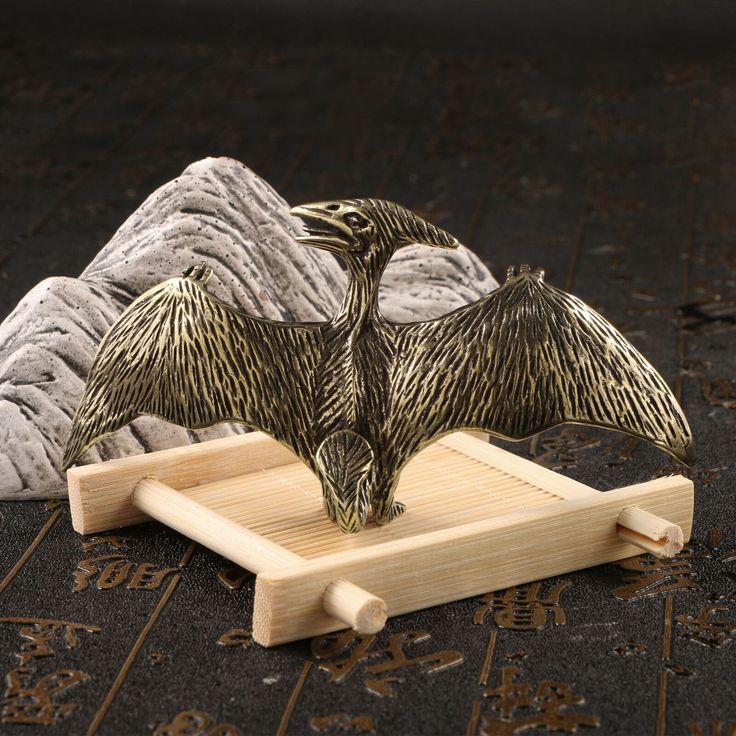 Animal model
