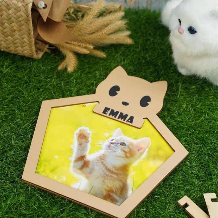 picture frame