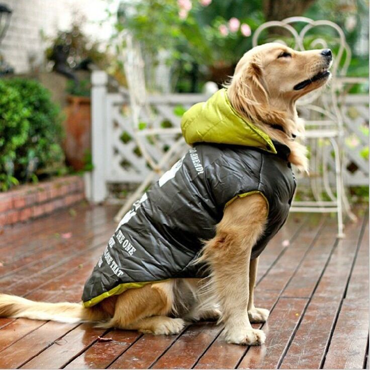 Winter Dog Extra Warm Coats