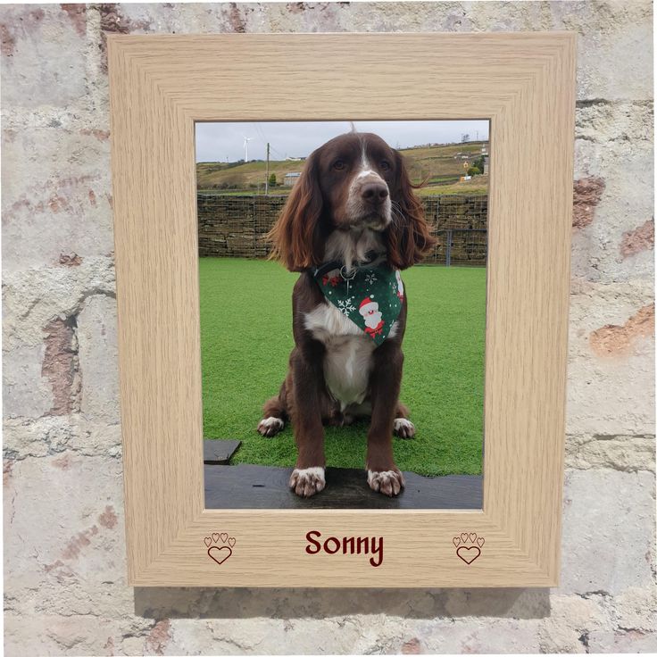 Photo frame