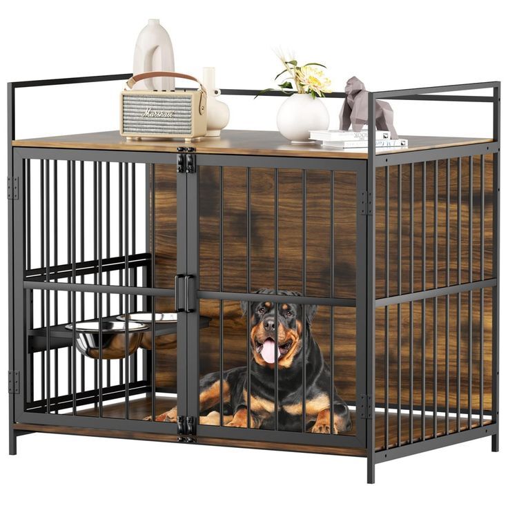 48 Inch Dog Kennel: Tips for Choosing the Perfect Option post thumbnail image