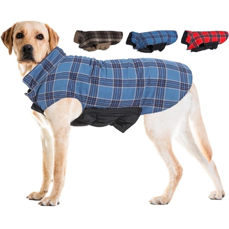 Dog Winter Coat