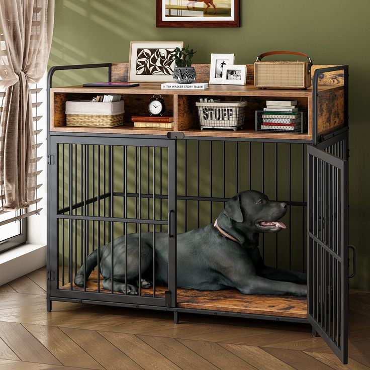 Kennel for Large Dog: Choosing the Best Option Toda post thumbnail image