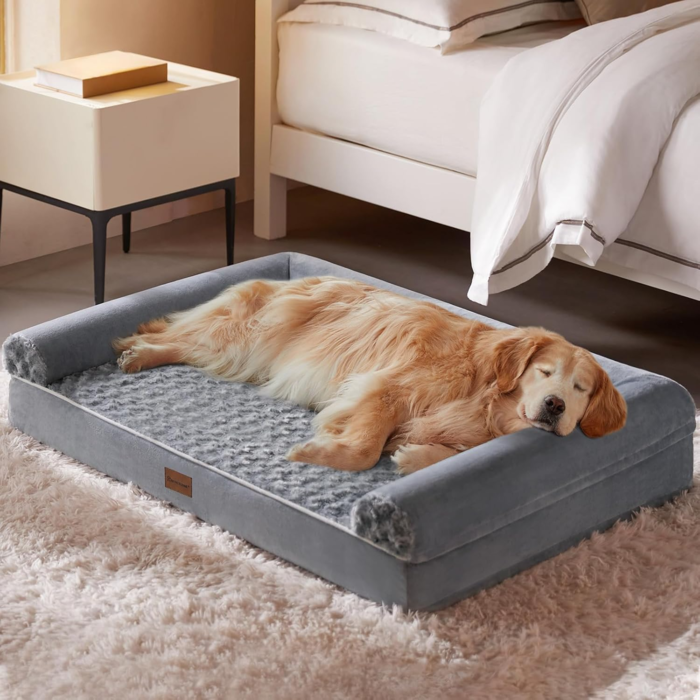 dog bed 