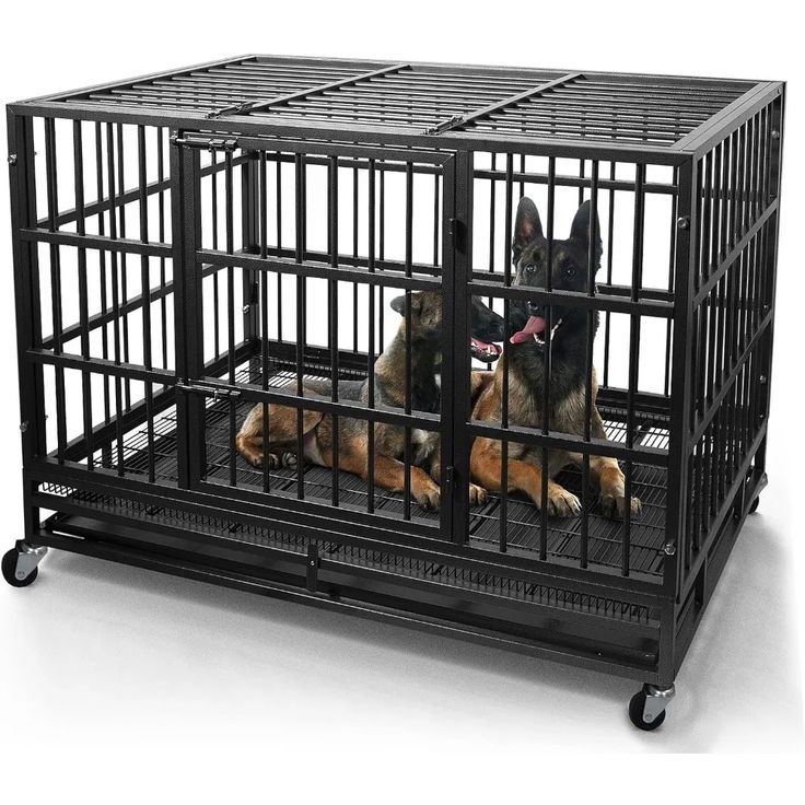 dog kennel