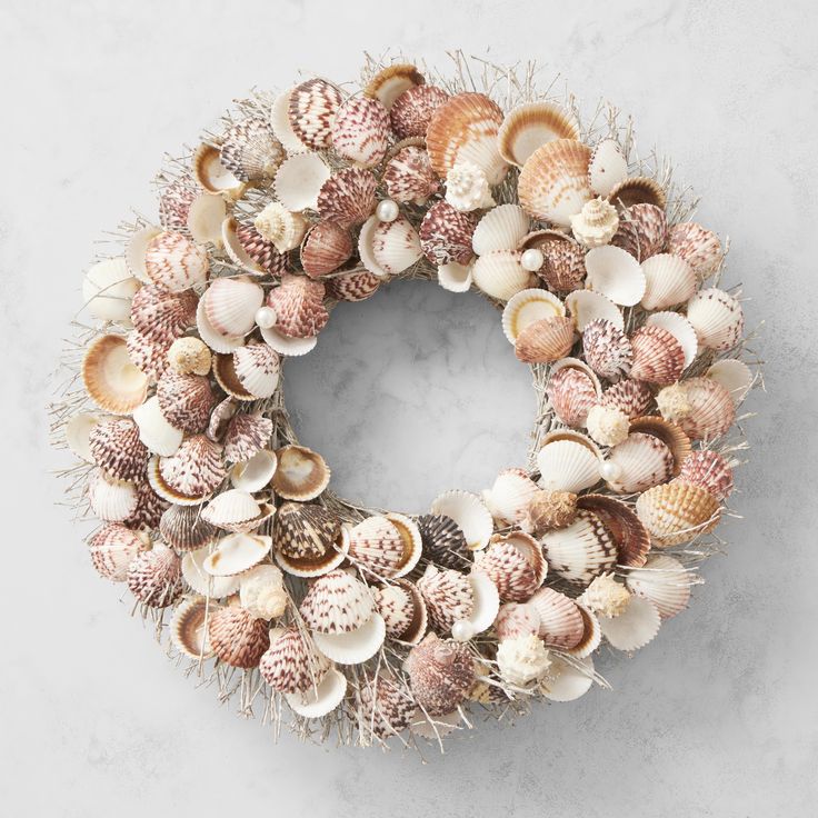 Shell craft kit