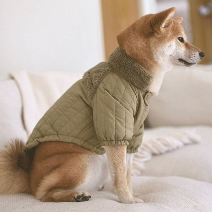 Fleece pet jacket