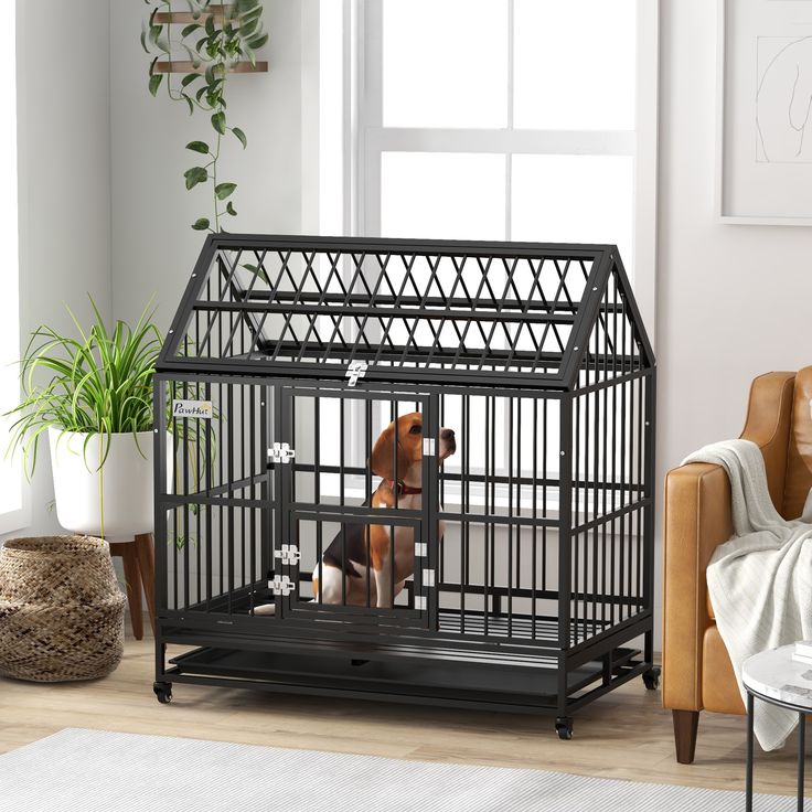 48 inch dog kennel