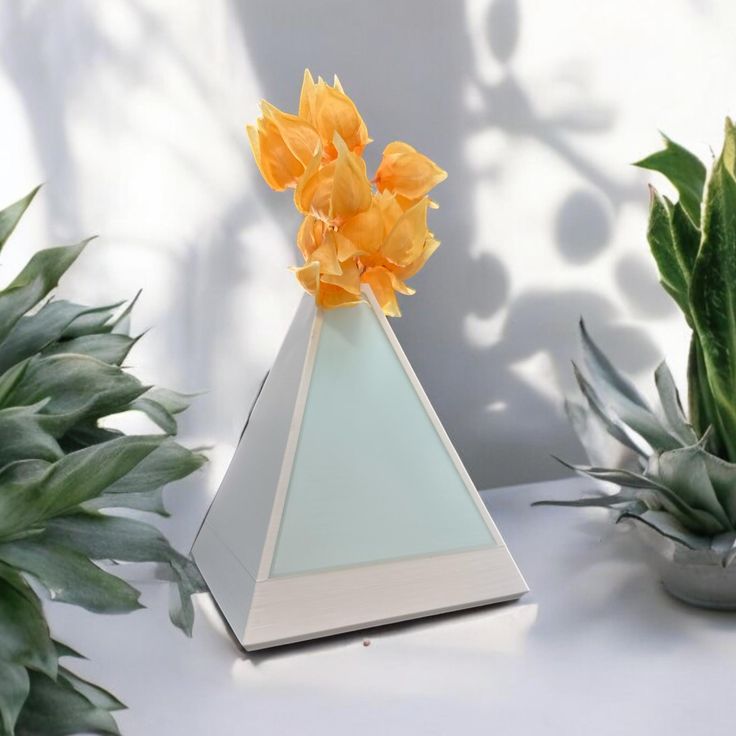 Translucent Dual Wall Design Vase