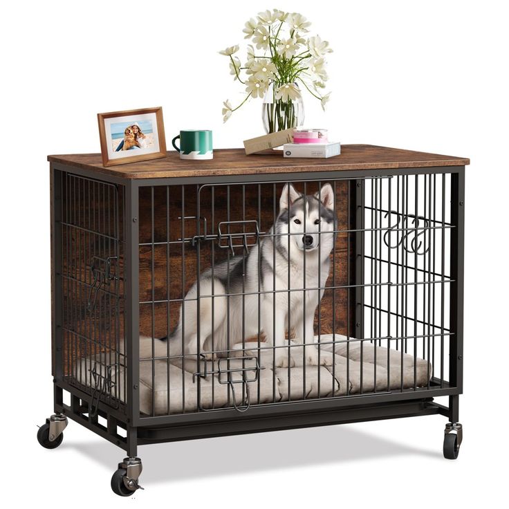kennel
