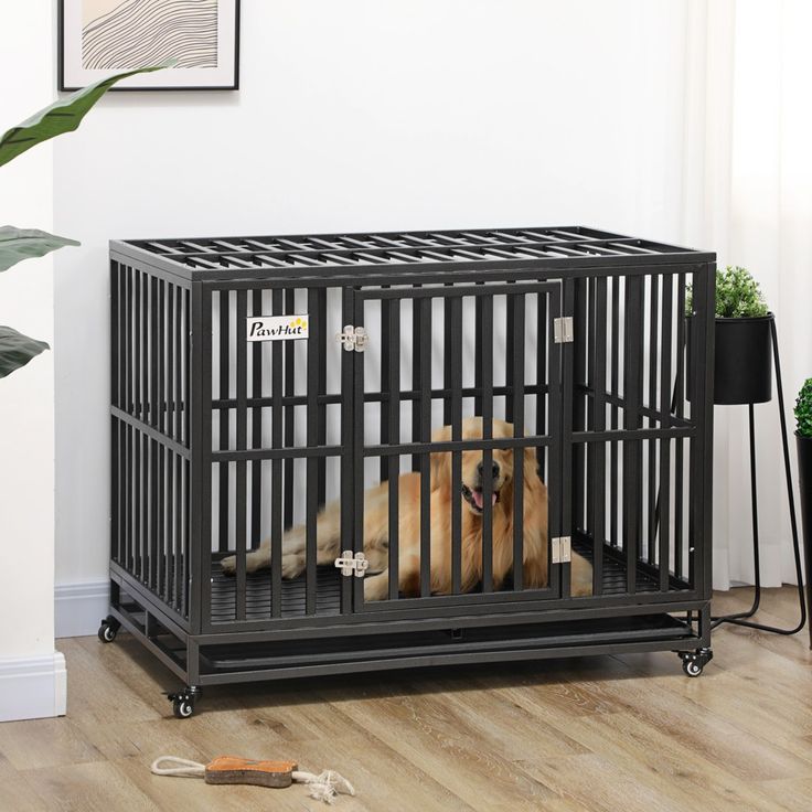 kennel for dog