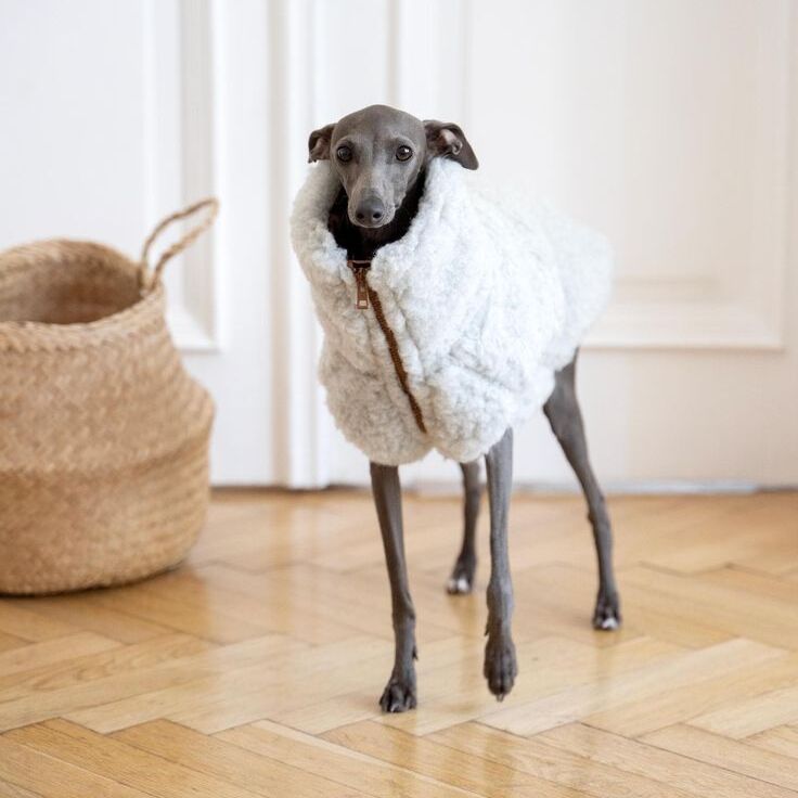 Fleece dog jacket