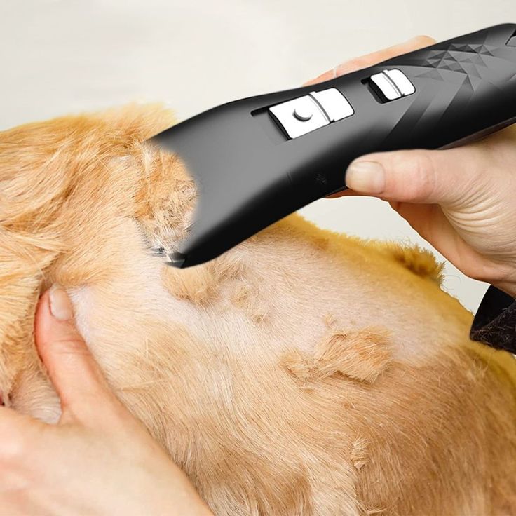 Dog grooming clippers