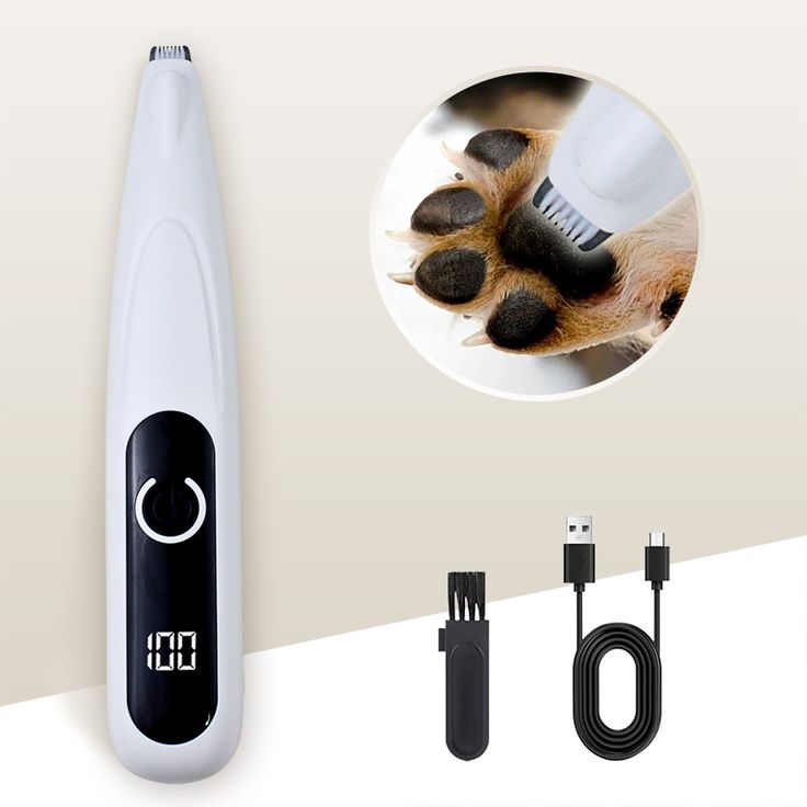 dog paw shaver