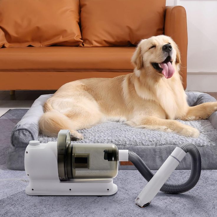 Pet vacuum cleaner