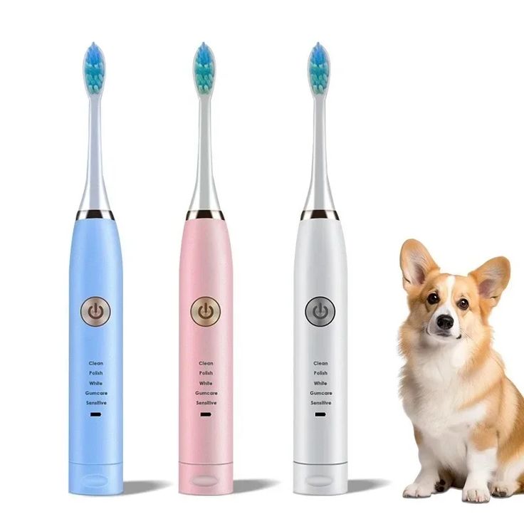 electric toothbrush for dogs