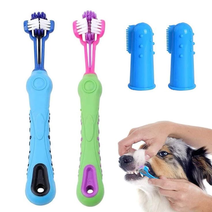 Dog teeth brush