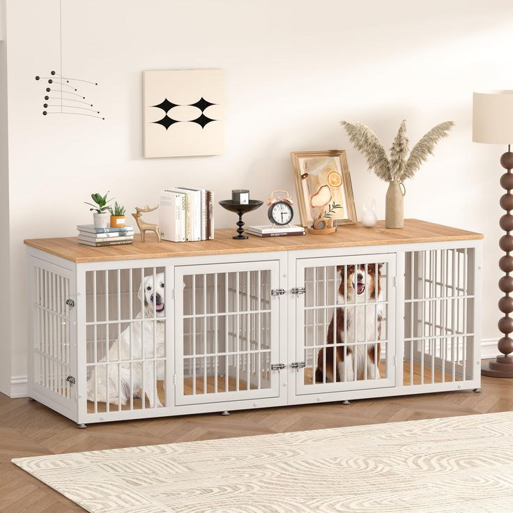 Dog house